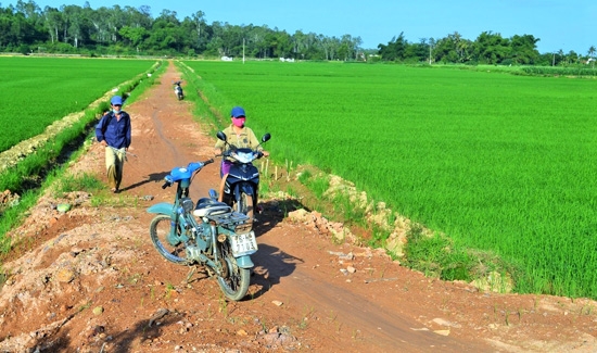 Một trong 11 tuyến đường nội đồng của đồng Phú An (Đức Hiệp) đã được mở rộng từ 1m lên 2,5m.