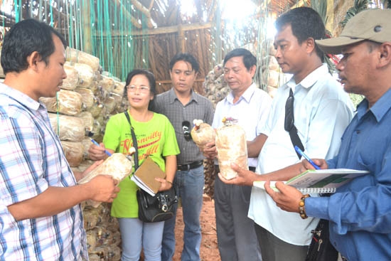 Giám đốc HTX nấm Đức Nhuận Lê Giang Phong (đầu tiên bên trái) hướng dẫn kỹ thuật trồng nấm linh chi cho cán bộ nông nghiệp tỉnh Attapeu (Lào).