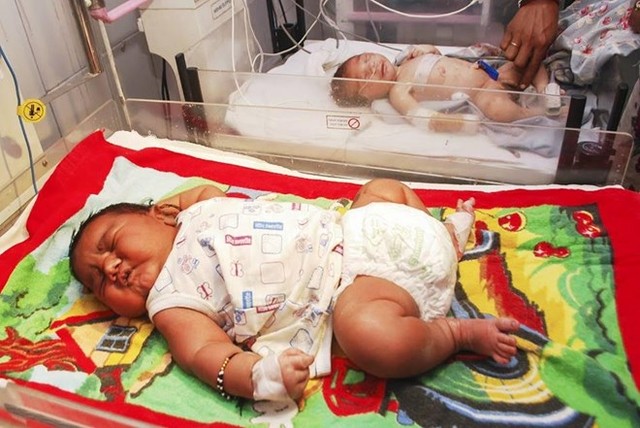 Em bé sơ sinh nặng gần 6kg tại Ấn Độ. (Nguồn: CCTV)