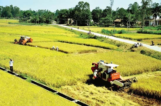 Ứng dụng cơ giới vào đồng ruộng, góp phần tăng hiệu quả trong sản xuất nông nghiệp.                                                                                         Ảnh: ĐĂNG LÂM