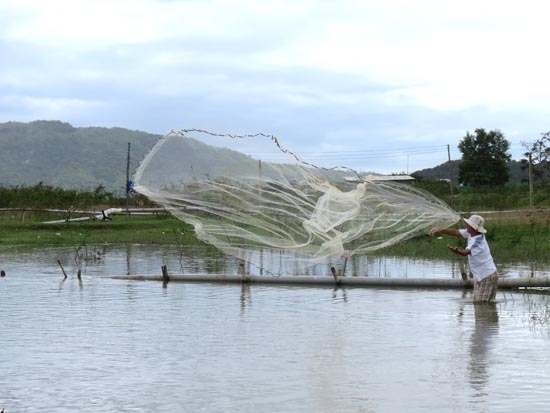 Một người dân quăng chài bắt cá trên sông