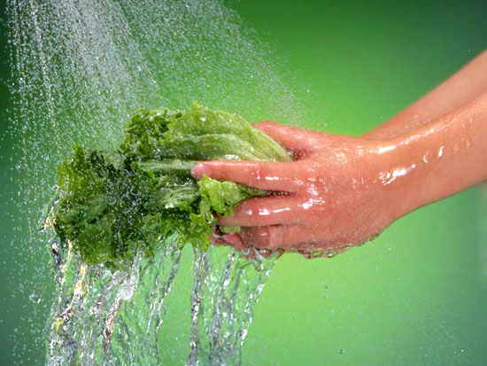   Sử dụng nước sạch để rửa rau.