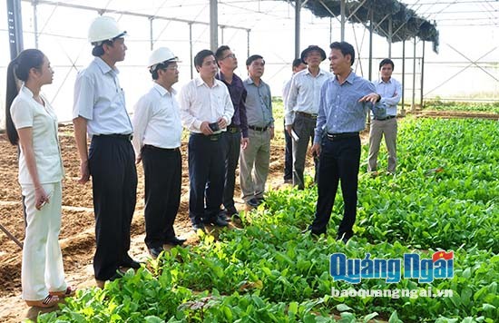 Bí thư Tỉnh ủy, Chủ tịch HĐND Lê Viết Chữ (Thứ 3 từ trái sang) kiểm tra mô hình trồng rau an toàn trong nhà kính của Công ty tại xã Nghĩa Dũng
