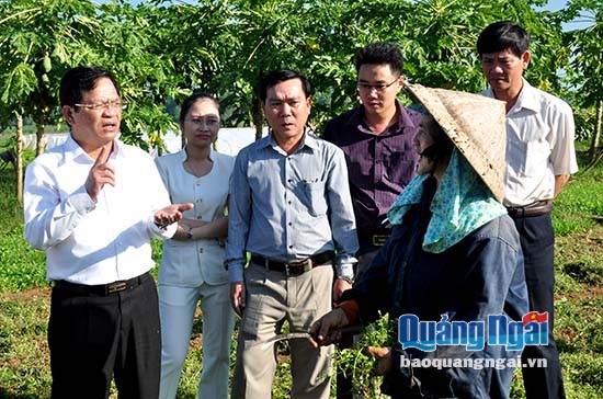 Bí thư Tỉnh ủy, Chủ tịch HĐND Lê Viết Chữ hỏi thăm nông dân tham gia sản xuất rau an toàn tại xã Nghĩa Hiệp, huyện Mộ Đức