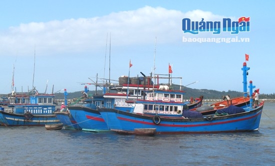 Hạ tầng nghề cá chậm đầu tư, ảnh hưởng đến sự phát triển lĩnh vực thủy sản của Quảng Ngãi vốn nhiều tiềm năng.                          Ảnh: H.T