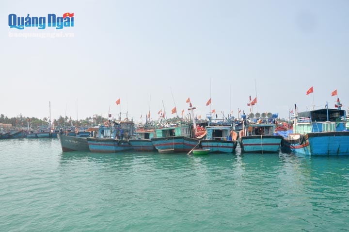 Với đội tàu lớn nhất nhì cả nước, kinh tế thủy sản được xác định là kinh tế mũi nhọn của Quảng Ngãi (Ảnh: Minh Toàn/Báo Quảng Ngãi)