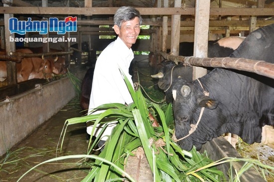 Tỷ phú nuôi bò Lê Minh Nông.