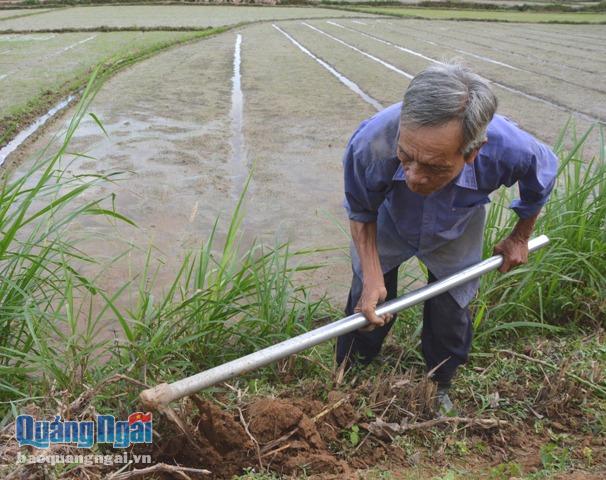 Đào hang bắt chuột.