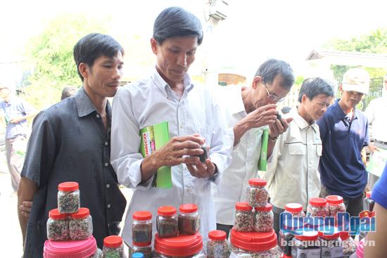 Nông dân xã Bình Thạnh (Bình Sơn) tìm hiểu về các loại phân bón tại hội thảo do Công ty Cổ phần phân bón hữu cơ HUMIC Quảng Ngãi tổ chức.