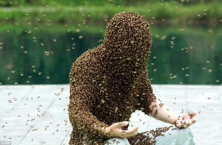 Ruan Lianming và màn lập kỷ lục để ong bao phủ lâu nhất vào năm 2014