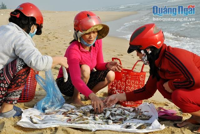 Chợ cá hình thành ngày trên bãi biển 
