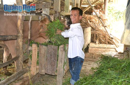 Dù sức khỏe yếu, chiều cao hạn chế, nhưng Thái luôn chăm chỉ làm việc để cải thiện kinh tế gia đình.