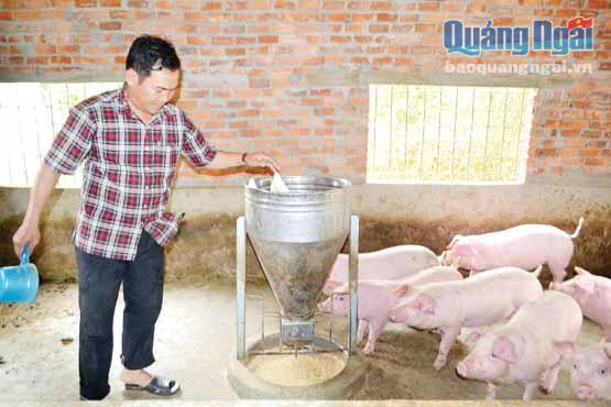 Sau khi tham gia đối thoại sản xuất, nông dân Lê Văn Danh đã mạnh dạng chuyển từ nuôi heo truyền thống sang hướng công nghiệp.