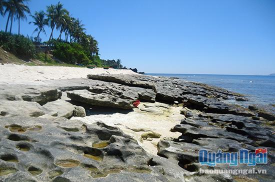 Trầm tích biển với hơn 4.500 năm tuổi ở ven bờ phía Nam đảo Bé