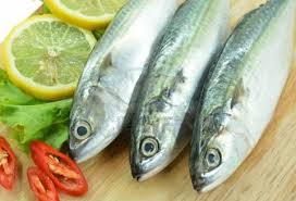  Cá nục có thể có từ 0,5-2g omega-3 trong 100g cá.