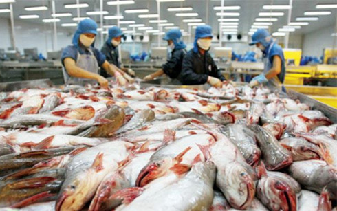  Thượng viện Mỹ bác bỏ chương trình giám sát cá da trơn Việt Nam. (Ảnh minh họa: Internet)