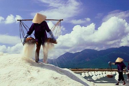 Gần như năm nào Chính phủ cũng phải tổ chức mua tạm trữ muối để hỗ trợ diêm dân.