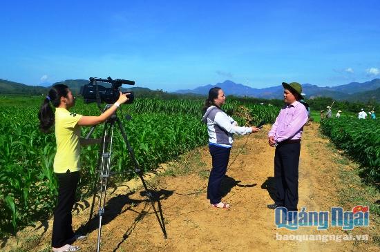 Tại các đài huyện, rất nhiều nữ phóng viên vừa kiêm nhiệm vụ quay phim vừa phỏng vấn nhân vật. Trong ảnh là hình ảnh PV Kim Cúc và Như Đồng của Đài TT huyện Sơn Tịnh đang tác nghiệp tại cánh đồng Vườn Phụng - Nà Láng của xã Tịnh Giang. Ảnh: Ý THU