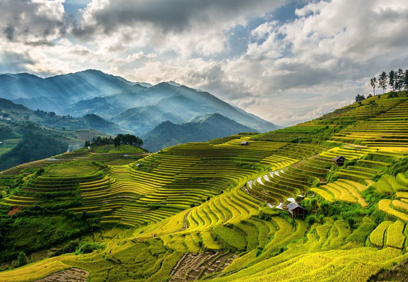 Sa Pa: Với những ruộng lúa bậc thang óng ả, khí hậu mát mẻ và nền văn hóa đặc sắc, Sa Pa là một trong những điểm đến hút khách ở Việt Nam.