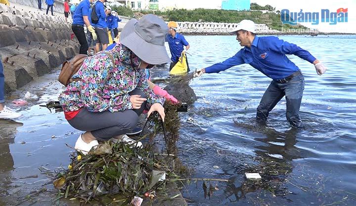 ĐVTN tham gia vệ sinh môi trường biển tại Lý Sơn