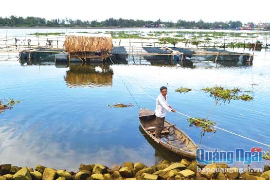  Tận dụng lòng sông Diêm Điền, người dân Tịnh Hòa (TP.Quảng Ngãi) nuôi trồng thủy sản nước ngọt. 