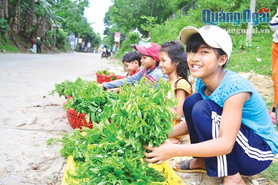  Trong khi  đó, các em nhỏ ở xã Sơn Thượng, thị trấn Di Lăng (Sơn Hà) bán các loại rau rừng hái được với giá 5 nghìn đồng/ bó, để dành mua tập vở, cặp sách, quần áo cho năm học mới.