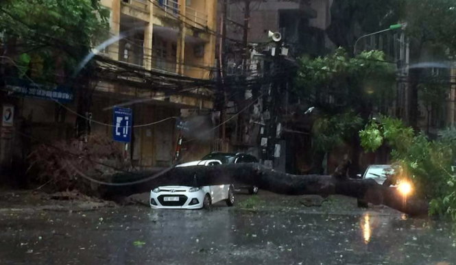 Cây đổ đè lên ô tô trên đường Trần Thánh Tông, Hà Nội - Ảnh: facebook Otofun