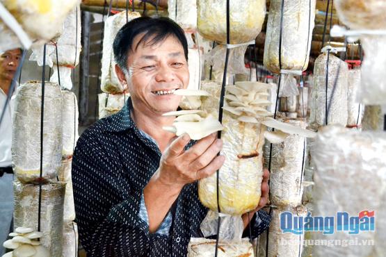 Ông Bùi Văn Hoàng biết đến mô hình trồng nấm bào ngư nhờ CLB internet nông dân.