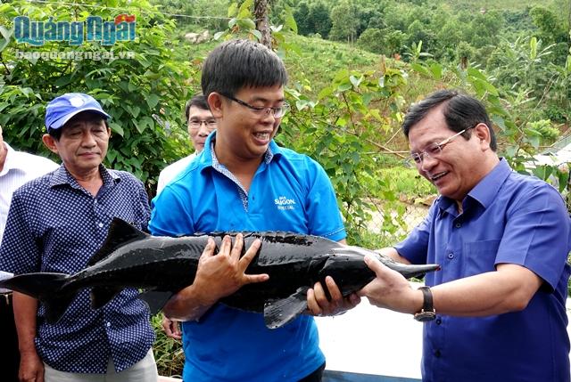 Ủy viên Trung ương Đảng, Bí thư Tỉnh ủy Lê Viết Chữ thăm mô hình nuôi cá tầm ở Sơn Tây