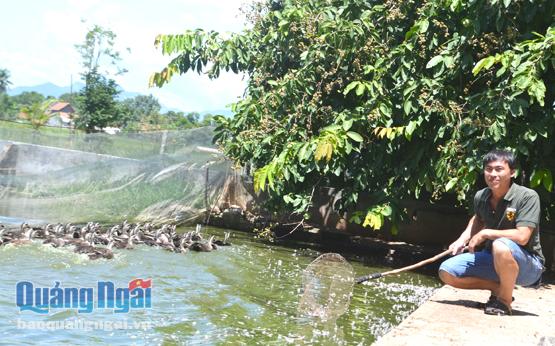 Anh Việt đang vệ sinh ao nước, tạo môi trường sinh sống tốt cho vịt trời.