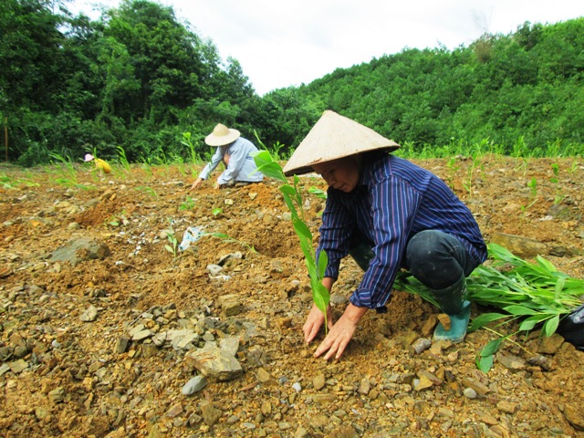 Ảnh minh hoạ