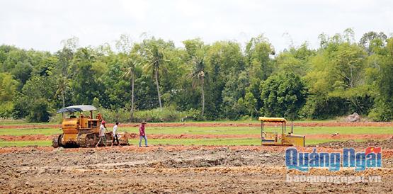 Xã Bình Phước đang đẩy nhanh tiến độ dồn điền, đổi thửa để kịp cho vụ sản xuất đông xuân 2016 - 2017.