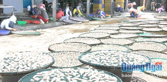  Chế biến cá khô, tôm khô tại làng nghề Sa Huỳnh (Đức Phổ).