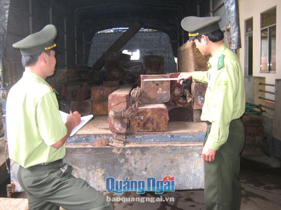 Lực lượng kiểm lâm thu giữ gỗ lậu vận chuyển trái phép.