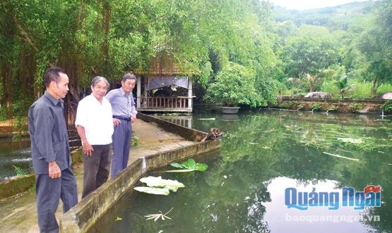 Ông Phan Hào (ngoài cùng bên trái) giới thiệu hệ thống ao hồ nuôi cá trắm cỏ tại khu trang trại của ông.          ảnh: vũ yến