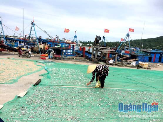 Vỉa hè tại KDC Làng Cá bị người dân, các cơ sở chế biến thủy sản tận dụng làm nơi chế biến, sơ chế cá.