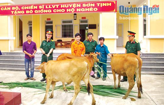 Lực lượng v ũ trang huyện Sơn Tịnh tặng bò giống cho gia đình dân quân nghèo.