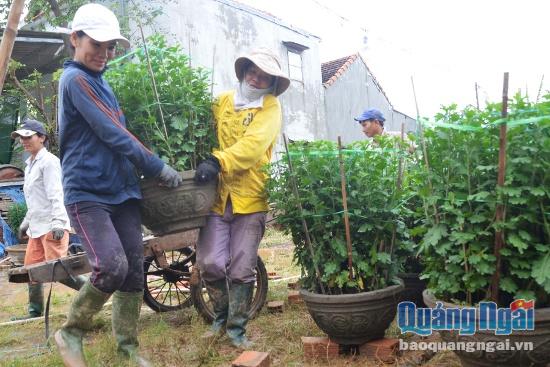 Gia đình ông Nguyễn Tân, thôn Văn Mỹ, thị trấn Sông Vệ đặt hoa trở lại chỗ cũ sau khi lũ rút. 