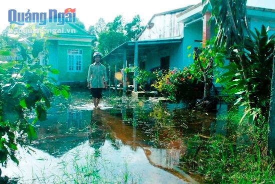 Hàng trăm nhà dân ở xã Phổ Khánh vẫn còn chịu cảnh ngập lụt sau lũ.