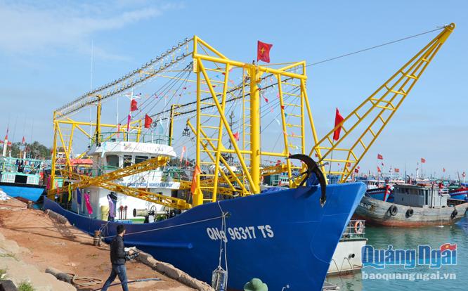 Tàu vỏ thép dài, công suất trên 800Cv nên các cảng cá và khu neo đậu trú bão trong tỉnh không đảm bảo an toàn.