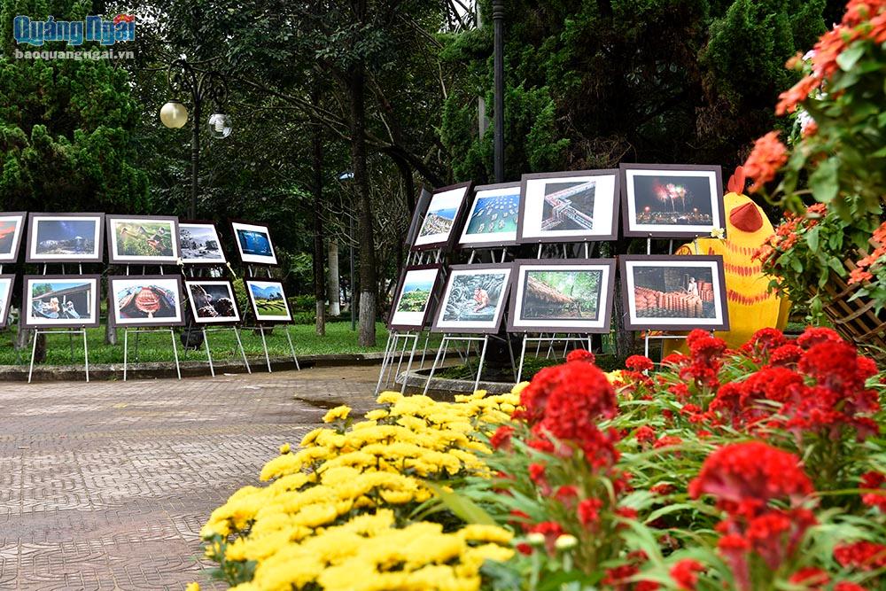 Năm nay, vườn hoa Ba Tơ có trưng bày thêm ảnh nghệ thuật về Quảng Ngãi