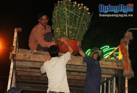 Người trồng hoa cúc cùng thương lái vất vả di chuyển hoa trong đêm ở chợ hoa xuân đường Phạm Văn Đồng (TP.Quảng Ngãi), kịp phục vụ người dân trong tỉnh.