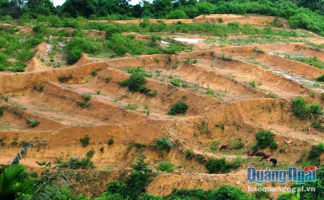 Diện tích ruộng được BQL Dự án Hồ chứa nước Nước Trong cải tạo cấp cho người dân Khu TĐC Cà La