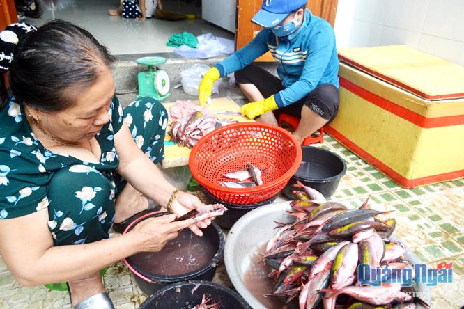 .Chỉ có loại cá đỏ mới được người dân thôn Định Tân lựa chọn để chế biến thành chả.