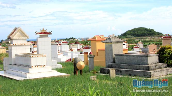 Nhiều ngôi mộ ở đảo Lý Sơn hiện chôn cất xen lẫn trên đất canh tác hành, tỏi.