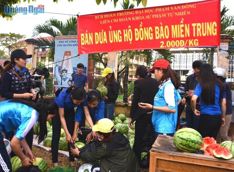 Sinh viên Trường ĐH Phạm Văn Đồng bán dưa hấu giúp nông dân xã Tịnh Hiệp.