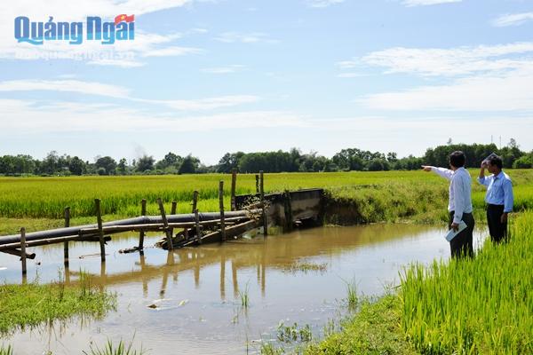 Hàng chục nghin mét kênh mương cần được khắp phục kịp thời để đảm bảo nước tưới cho những vụ lúa sau