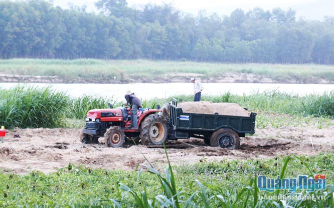  Chủ một xe cọc cạch đang lén lút khai thác cát tại thôn An Chỉ Đông, xã Hành Phước (Nghĩa Hành).