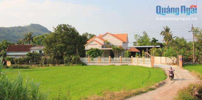  Một góc làng quê yên bình Phổ Khánh    