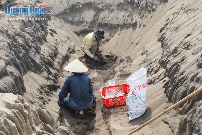 Khai quật khảo cổ văn hóa Sa Huỳnh cạnh đầm An Khê